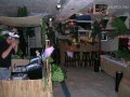 caribbean-cruise-2